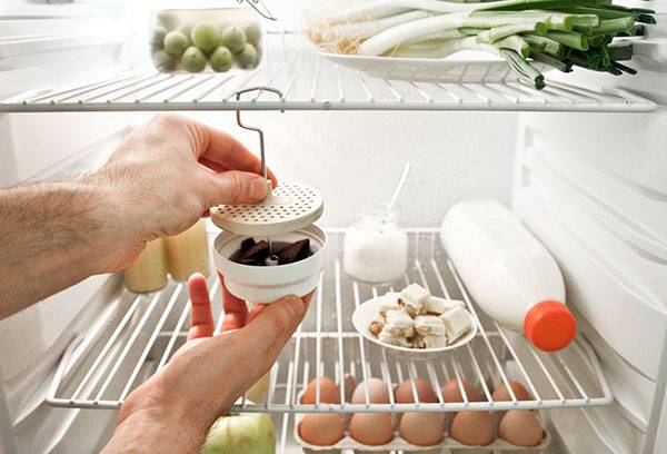 Refrigerator odor remover