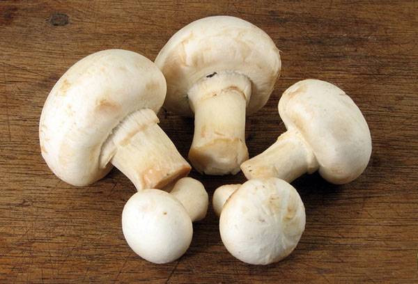 Whole champignons for freezing