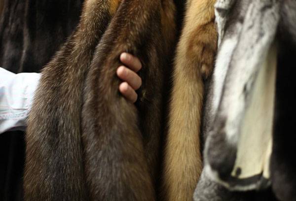 Clothing made of fur