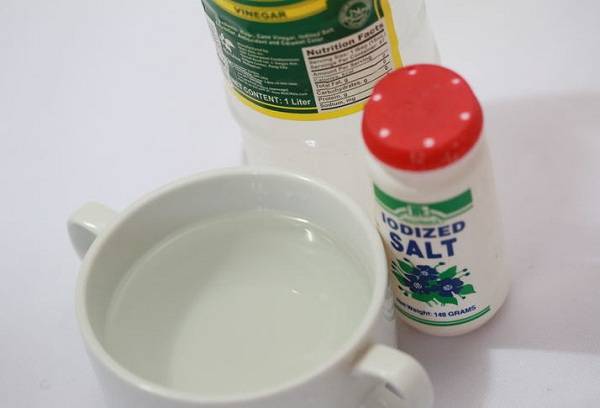 salt and vinegar