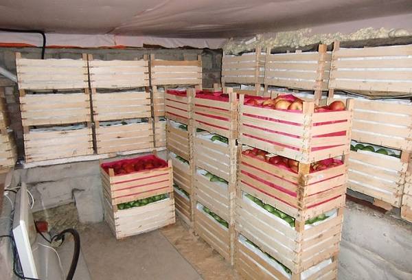 red apples in crates
