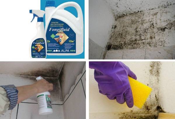 fungicide for cleaning walls from mold