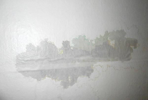 Wet spot on the ceiling