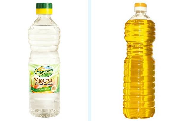 vinegar and oil