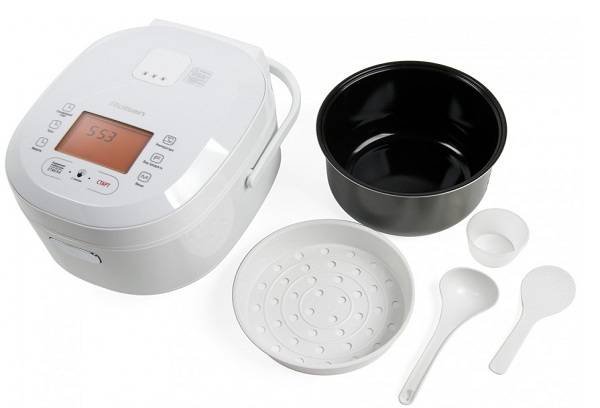 slow cooker with fixed lid