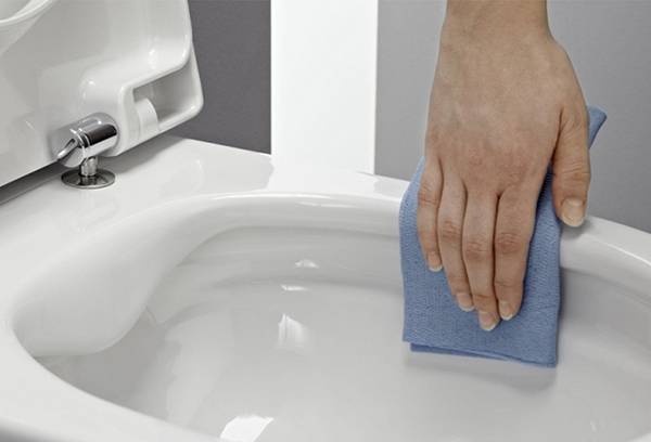 Ceramic Toilet Care