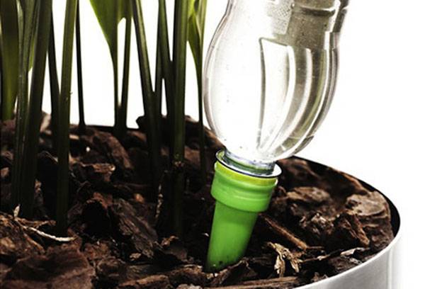 Drop watering a potted plant