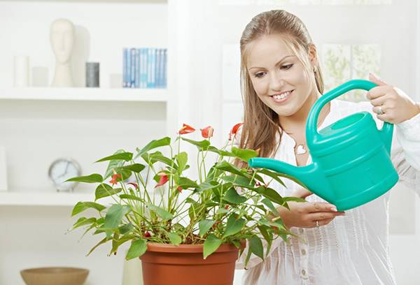 Girl watering a flowering plant