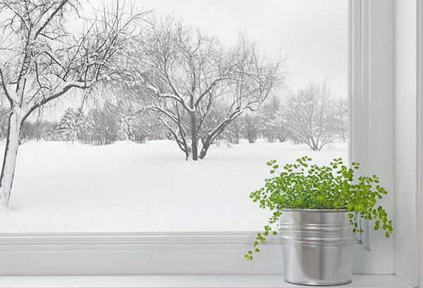 Winter outside