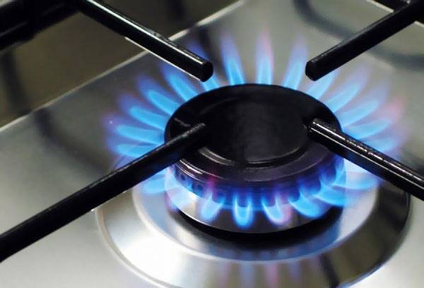 Enamelled gas stove grill