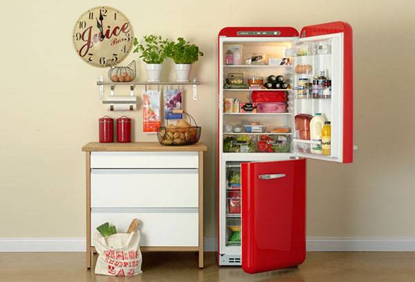 Food fridge