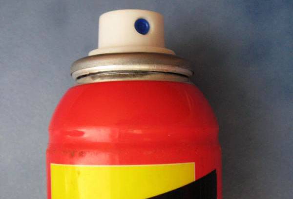 Insect aerosol