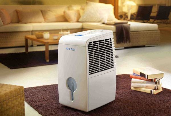 Air ionizer in the apartment