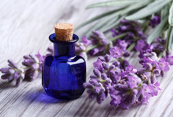 Lavender essential oil