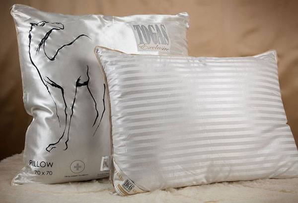 Camel Wool Pillows
