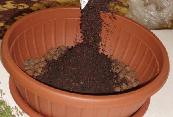 Plant drainage