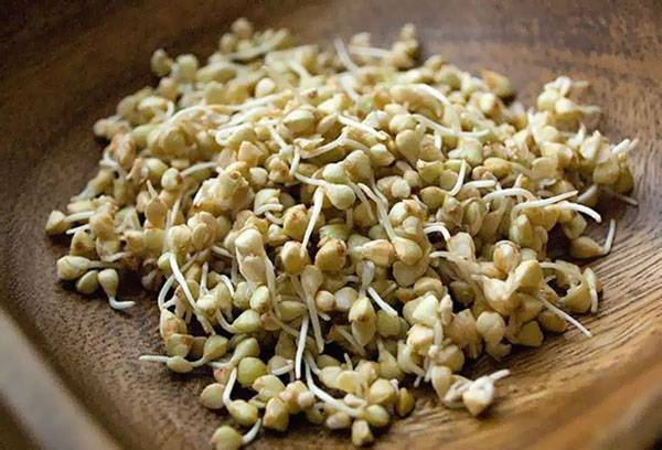 Buckwheat Sprouted