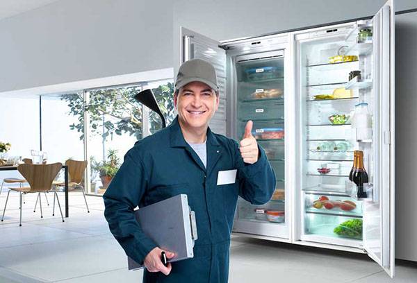 Diagnosis of a two-chamber refrigerator