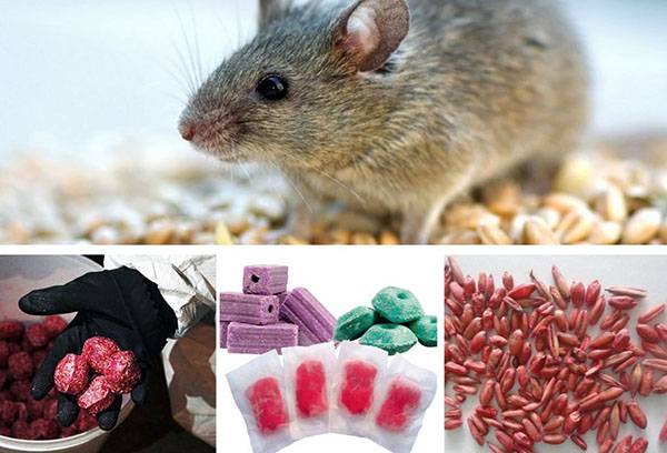 Poison for rodents