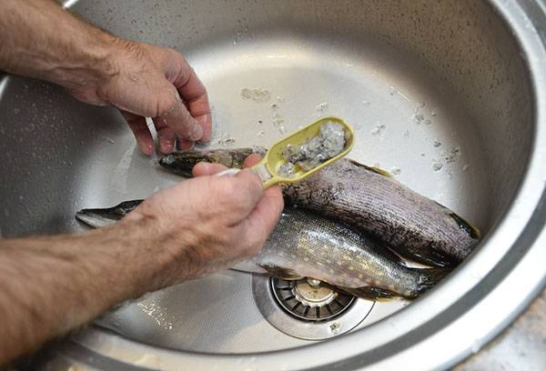 knife with serrations on the blade for easy flake removal