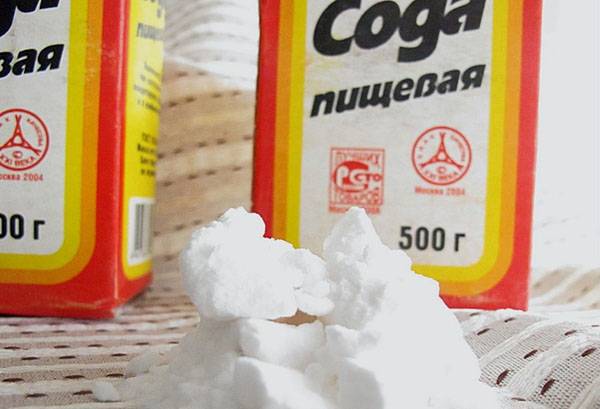 Cepamā soda