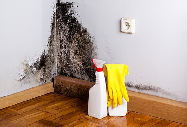 Anti-mildew on the walls