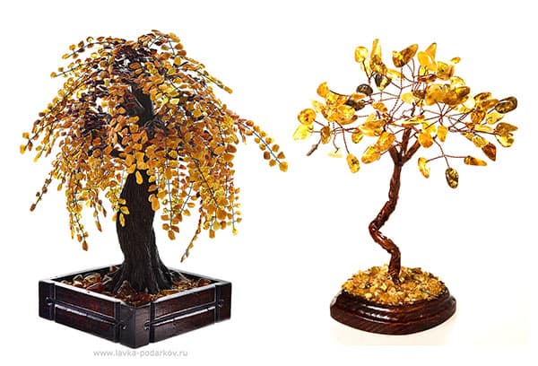Amber Trees