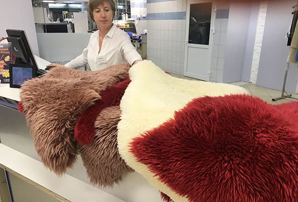 Coloring of dry-cleaned fur