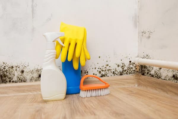 Mold Remover
