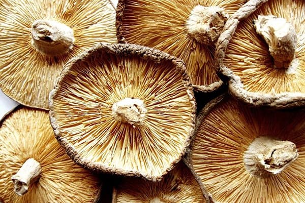 Mushroom caps