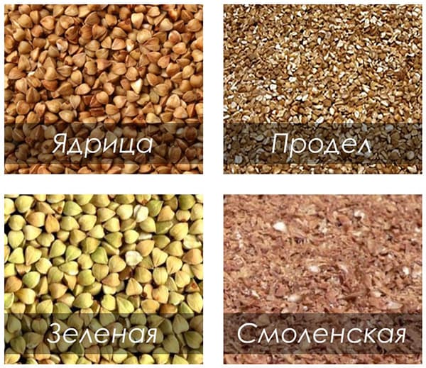 Types of buckwheat