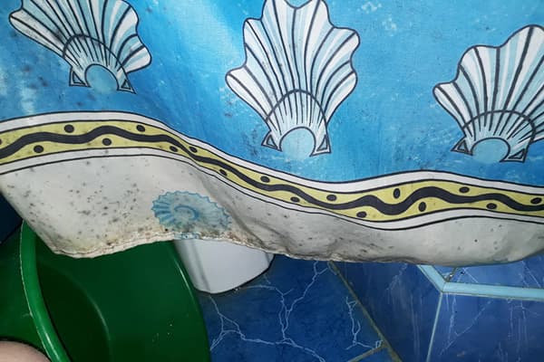 Pelējums uz vannas istabas aizkara