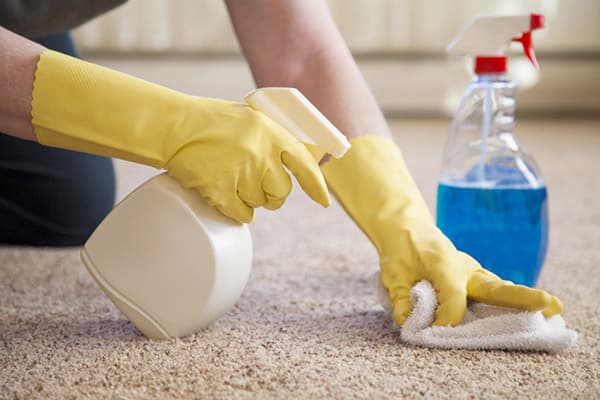 Carpet cleaning