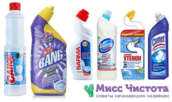 Popular toilet cleaners
