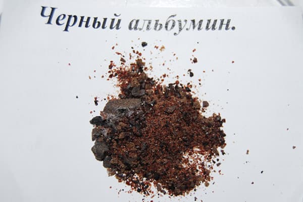 Albumin black food