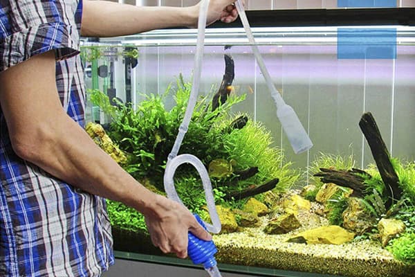 Aquarium mechanical cleaning