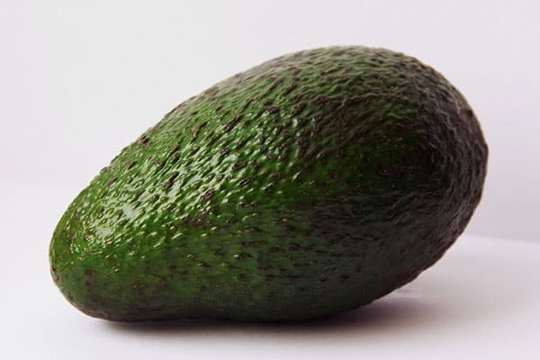 Avocado fruit