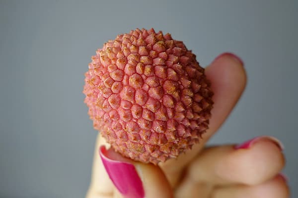 Lychee fruit