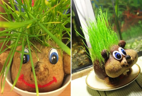 Toys with grass