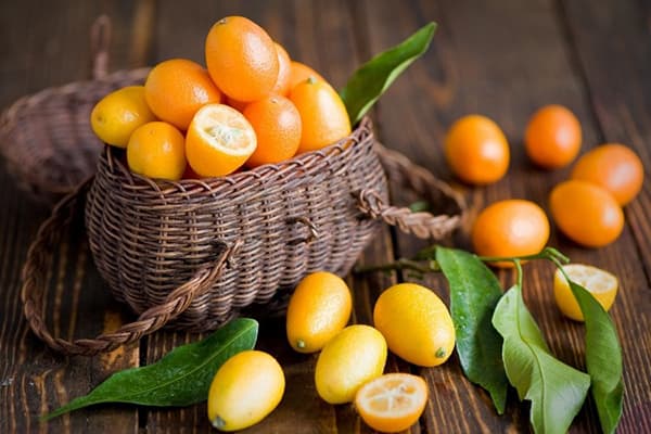 Kumquat Basket