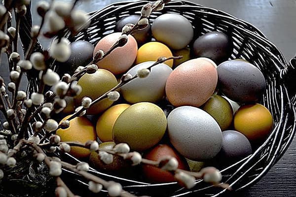 Natural dyed eggs