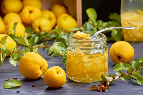 Quince and Quince Confiture