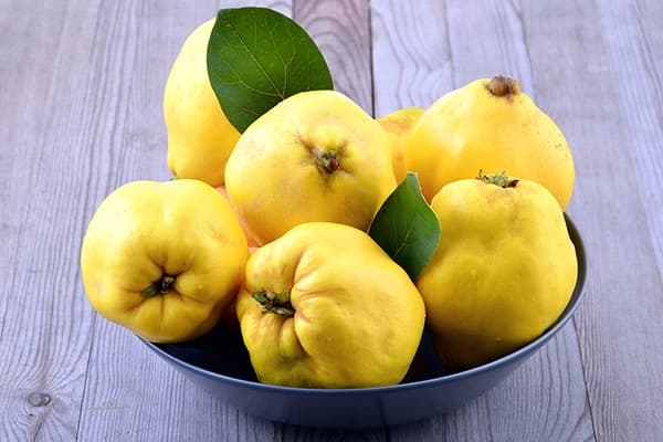 Quince fruits