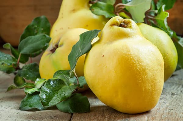 Fresh quince