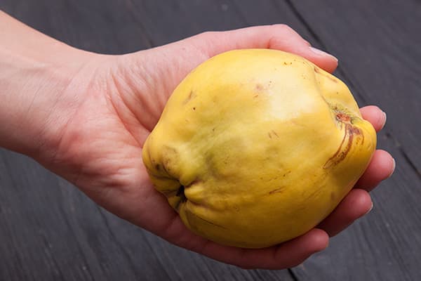 Woman holds quince fruit