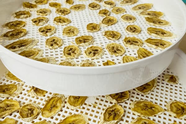 Banana chips in an electric dryer