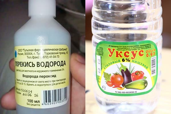 Peroxide and Vinegar