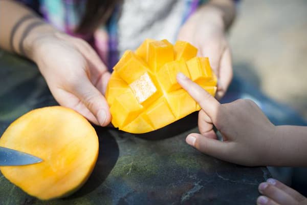 Sagriezti mango augļi