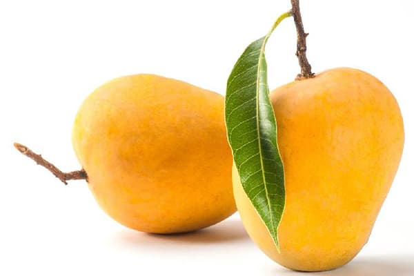 Mango Kesārs