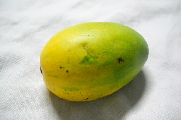 Mango Čausa